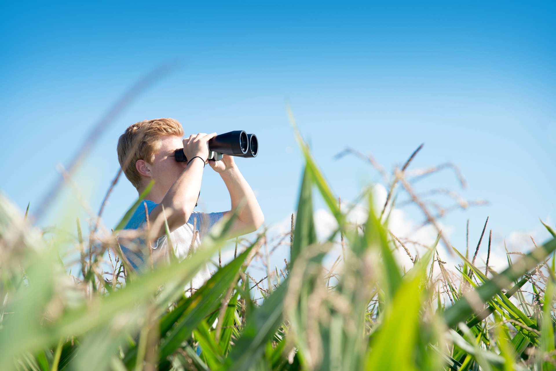 Mann steht im Gras und schaut mit dem Fernglas in die Ferne Mann schaut mit Fernglas in die Ferne
